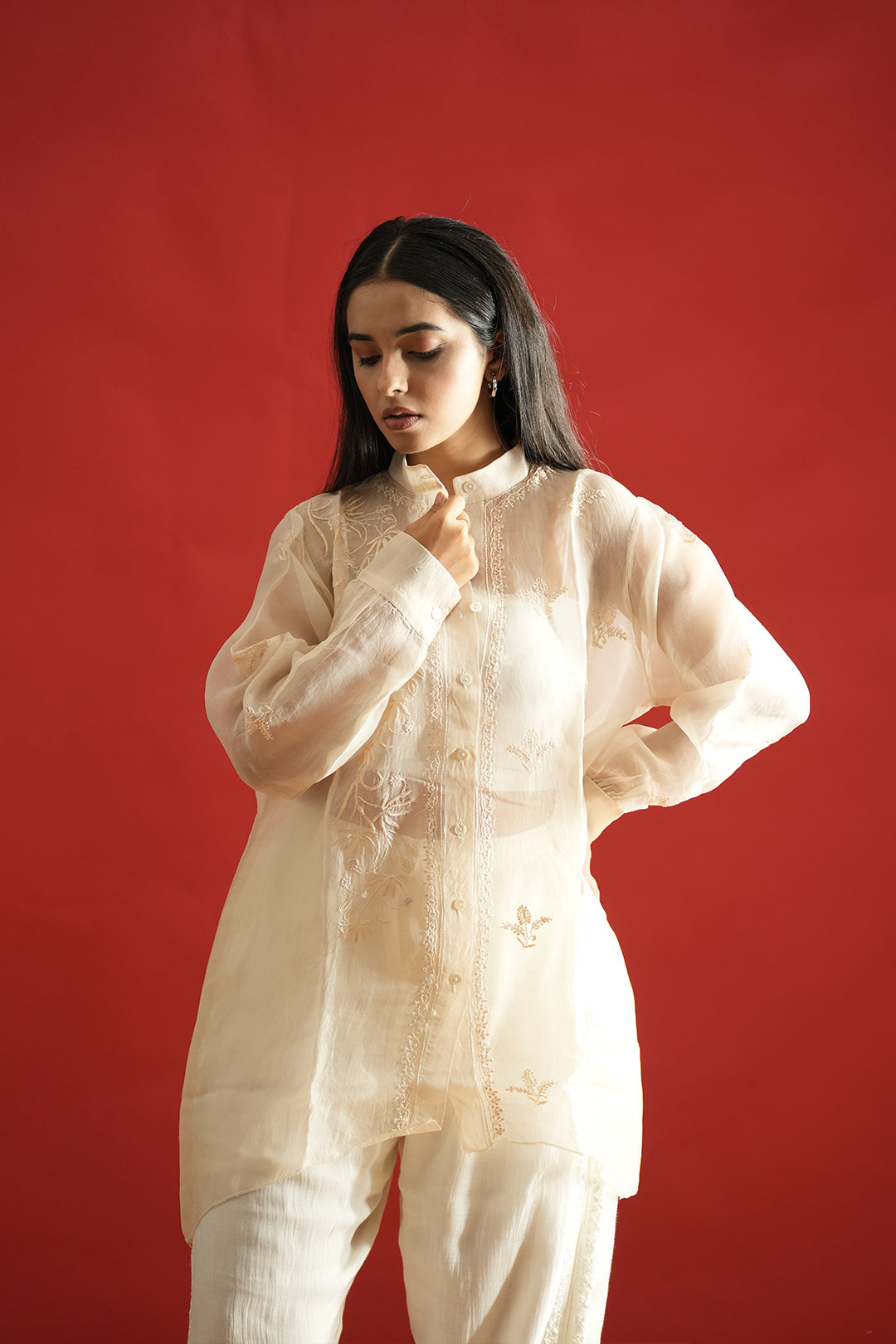 Chikankari Sheer Organza Shirt