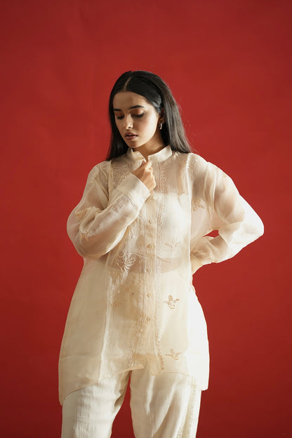 Organza Chikankari Shirt