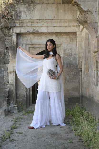 Iktara Set with Mukaish Work